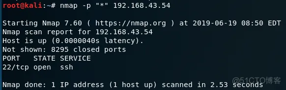 kali端口扫描