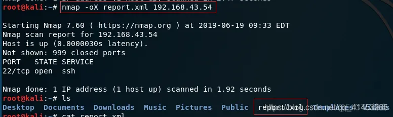 kali端口扫描