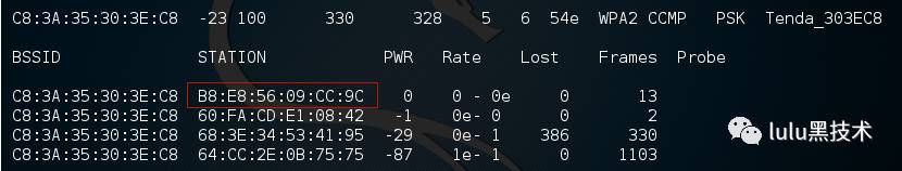 wifi密码字典下载