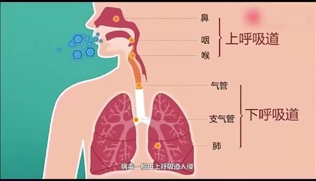 wifi密码字典包