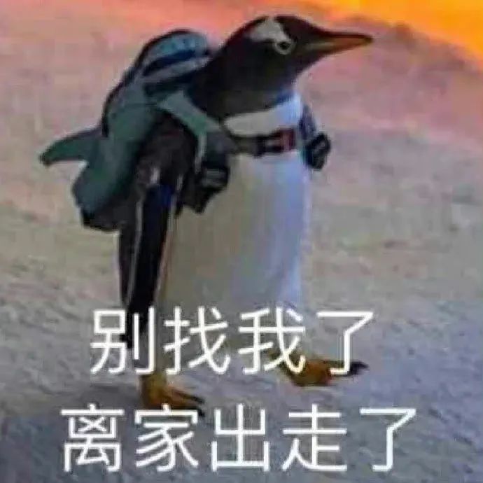 跑包是什么意思呢