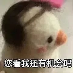 跑包是什么意思呢