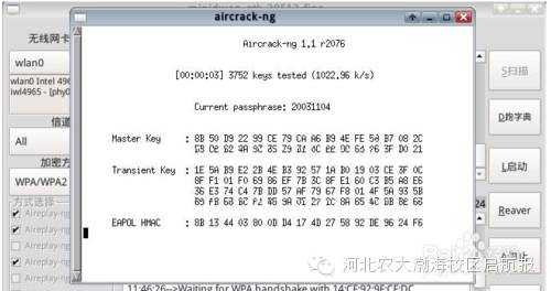 wifi密码字典txt下载