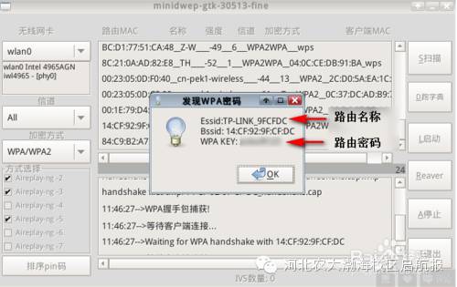 wifi密码字典txt下载