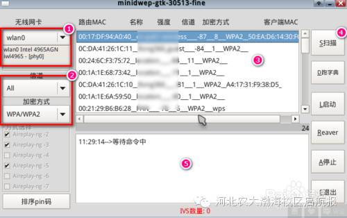 wifi密码字典txt下载