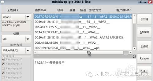 wifi密码字典txt下载