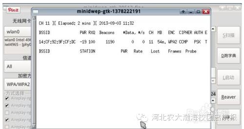 wifi密码字典txt下载